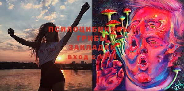 крисы Алзамай