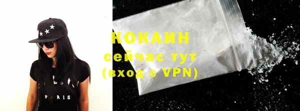 индика Абинск
