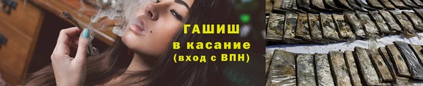 индика Абинск