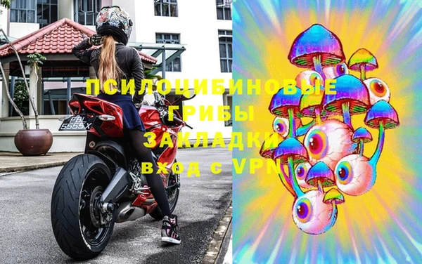 крисы Алзамай
