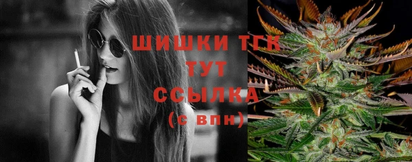 сатива Абаза