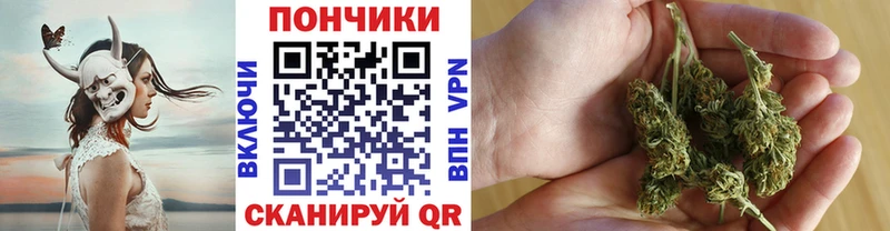 ссылка на мегу ссылки  Почеп  Канабис Amnesia 